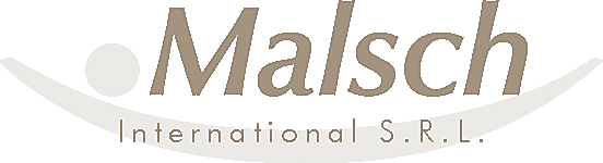 Malsch International SRL logo