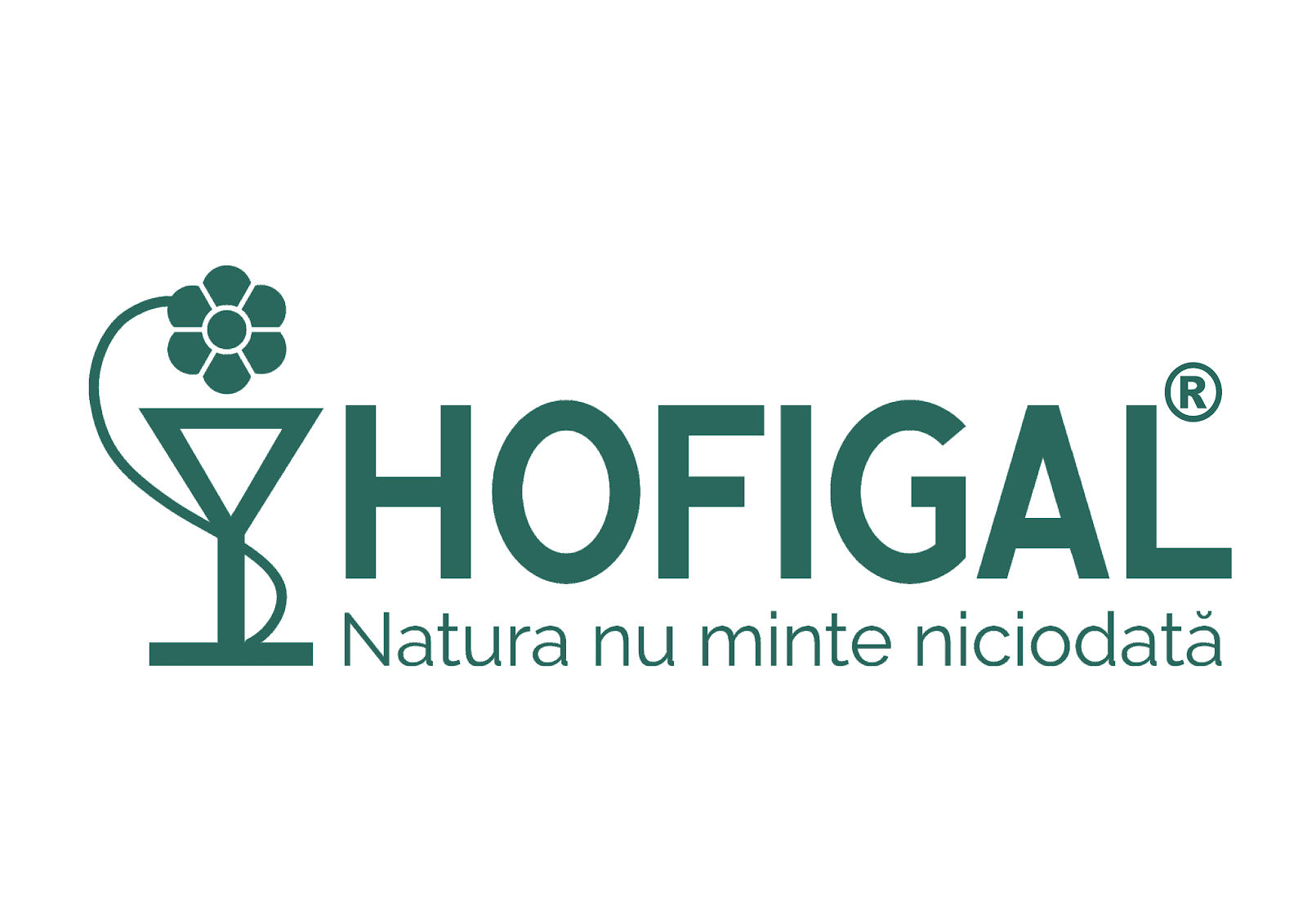 HOFIGAL EXPORT IMPORT SA logo