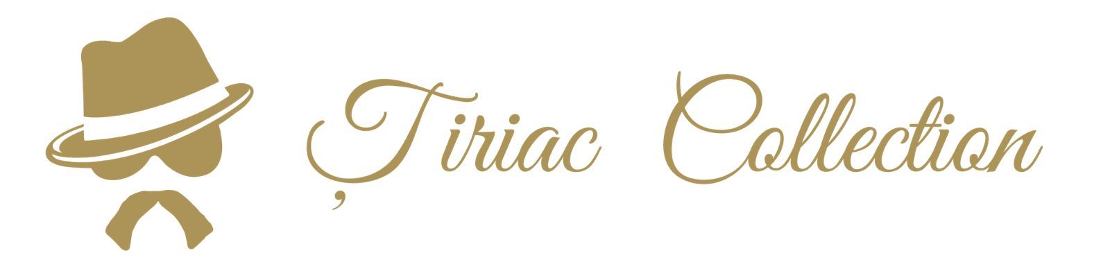 Țiriac Collection logo