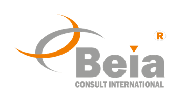 BEIA CONSULT INTERNATIONAL SRL logo